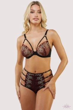 Playful Promises Red Dakota Embroidered High Waist Brief -Sexy Lingerie Shop Mayfair Stockingsplayful promises brief dakota red snake embroidered high waist brief 30295088398384 2000x 2