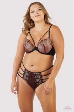 Playful Promises Red Dakota Embroidered High Waist Brief -Sexy Lingerie Shop Mayfair Stockingsplayful promises brief dakota red snake embroidered high waist brief 30415404597296 2000x 6